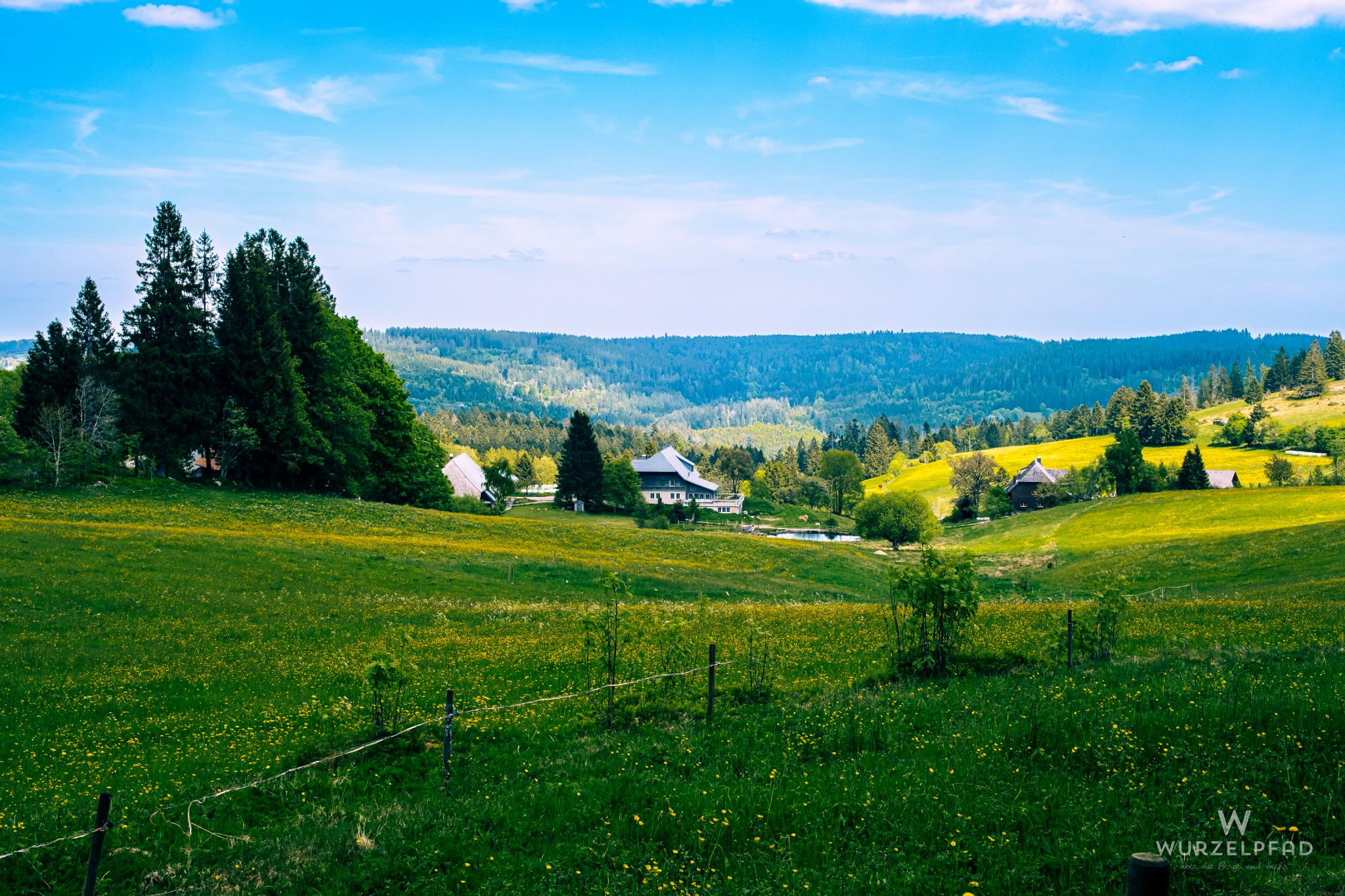 Blick über Blasiwaldf